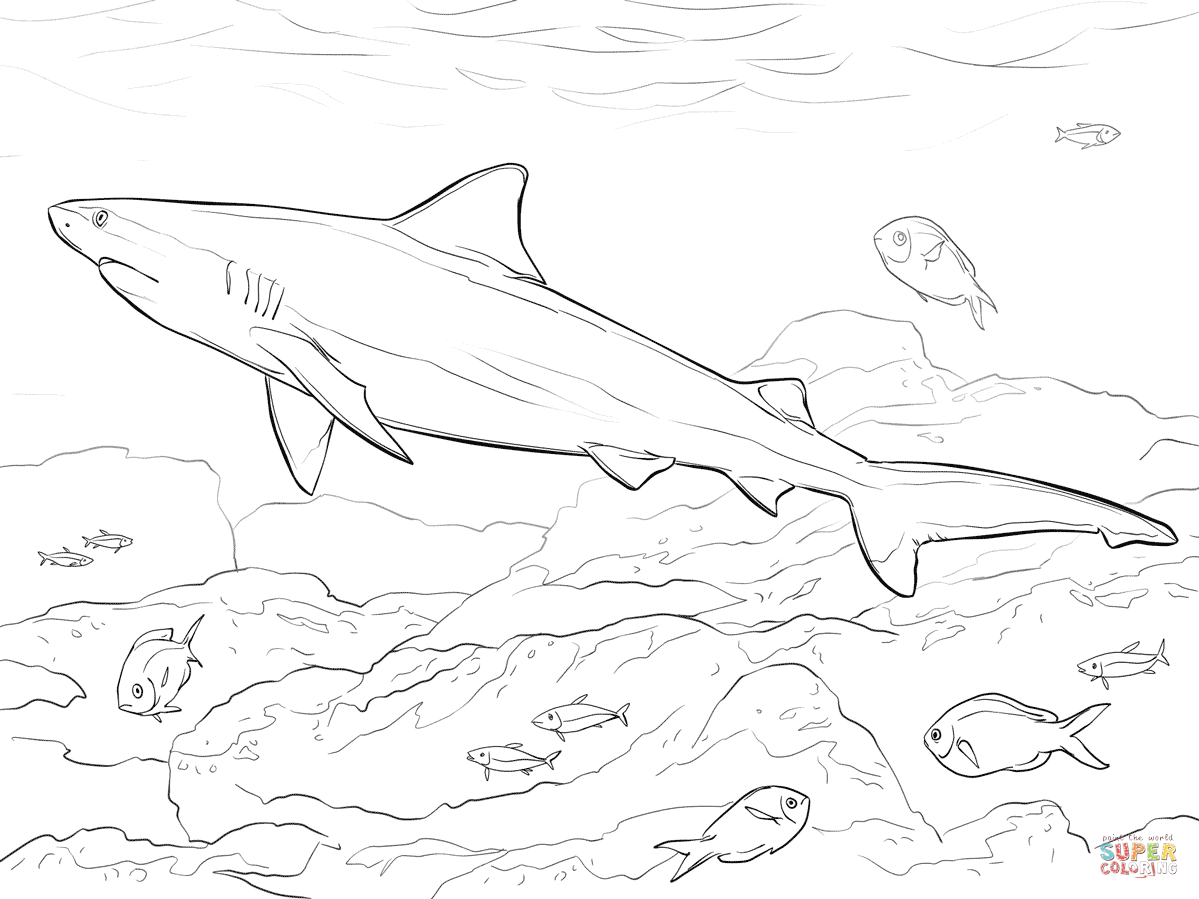 1199x899 Great White Shark Coloring Pages
