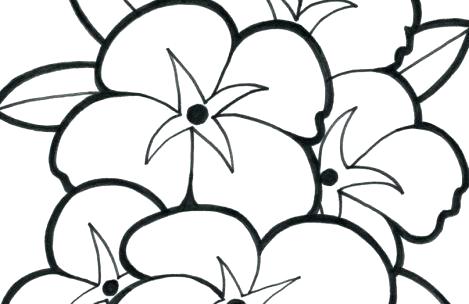469x304 Breathtaking Malcolm X Coloring Pages Cute Flower Coloring Pages