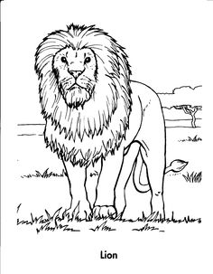 236x303 Lion Coloring Page Lions, Coloring Books And Stenciling