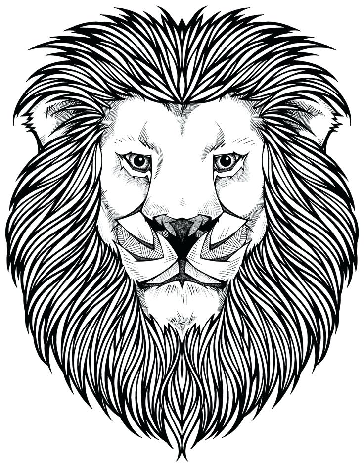 736x944 Lion Coloring Pages Male African Lion Coloring Page Ebestbuyvn.co