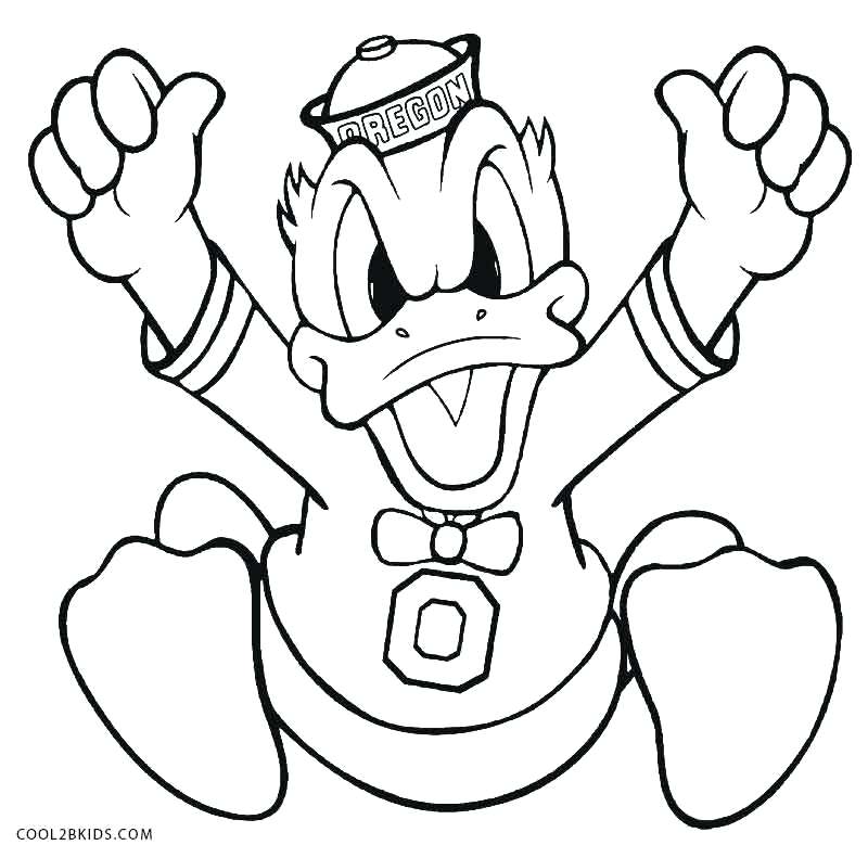 800x791 Duck Coloring Page Duck Coloring Pages Mallard Duck Coloring Page