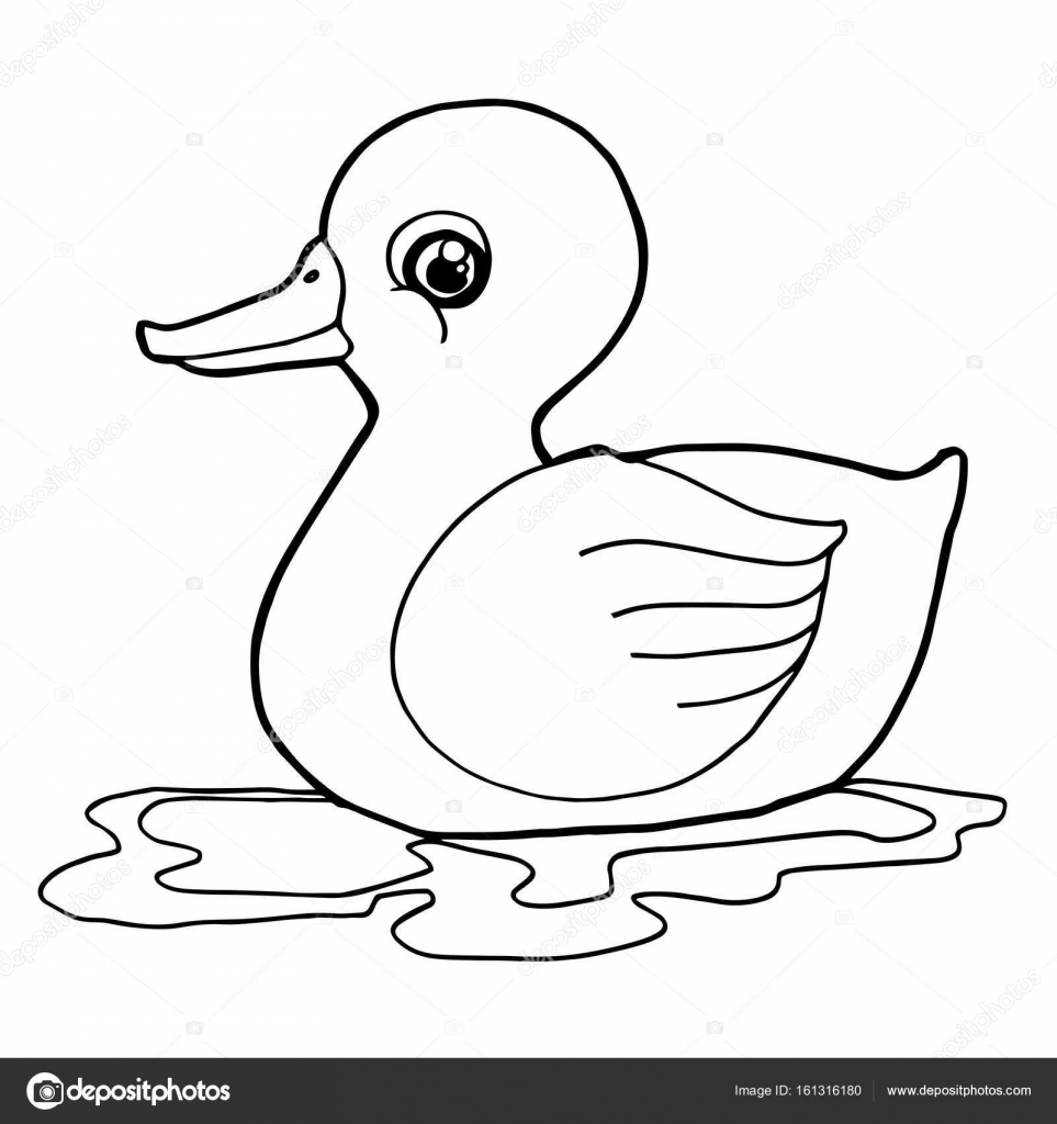 963x1024 Pair Mallard Ducks Coloring Pages Duck Page