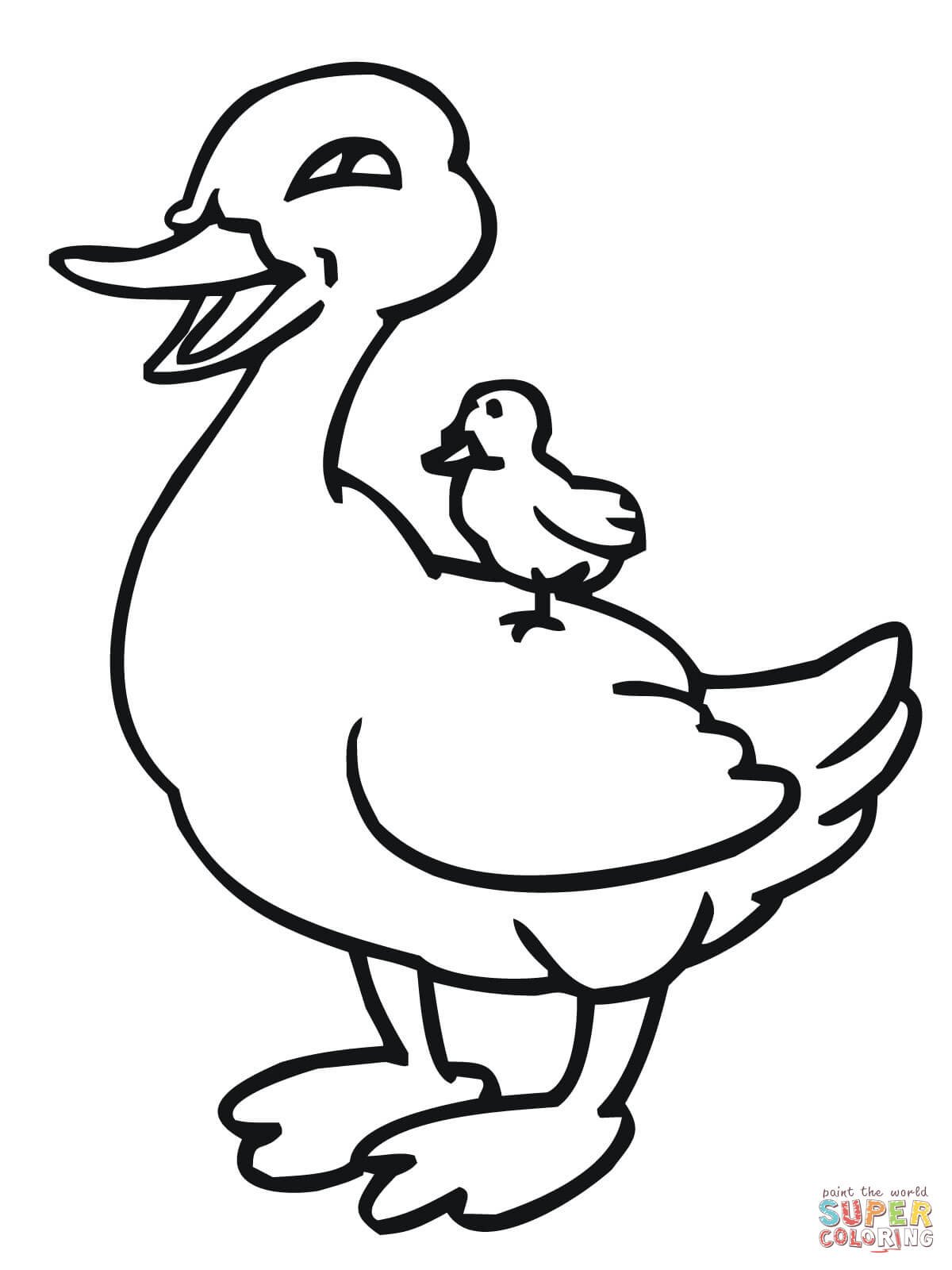 1200x1600 Simplified Duck Pictures To Color Mallard Coloring Page Free