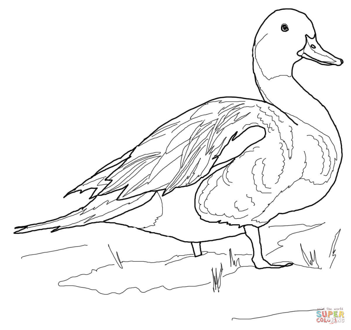 1200x1128 Ducks Coloring Pages Free Coloring Pages Duck Coloring Page
