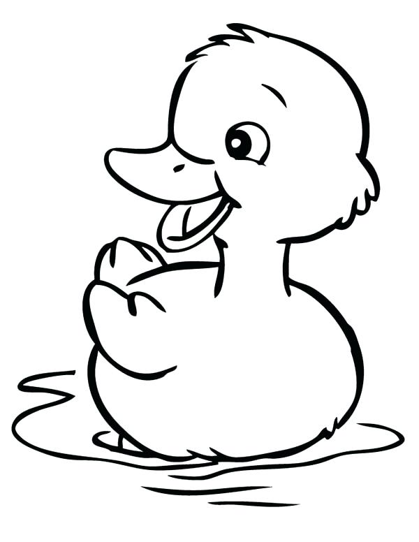 600x776 Duck Coloring Page Cute Little Duck Coloring Page Mallard Duck
