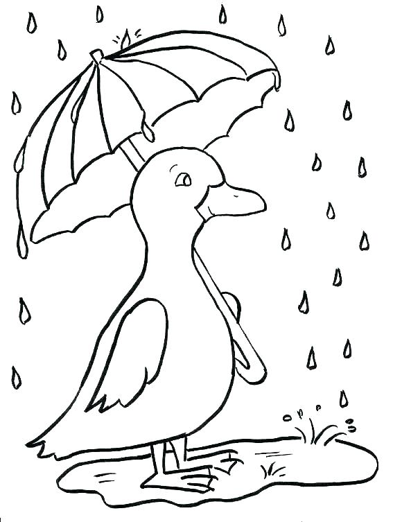 567x753 Mallard Coloring Page