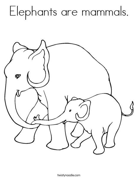 468x605 Elephants Are Mammals Coloring Page From Let'S