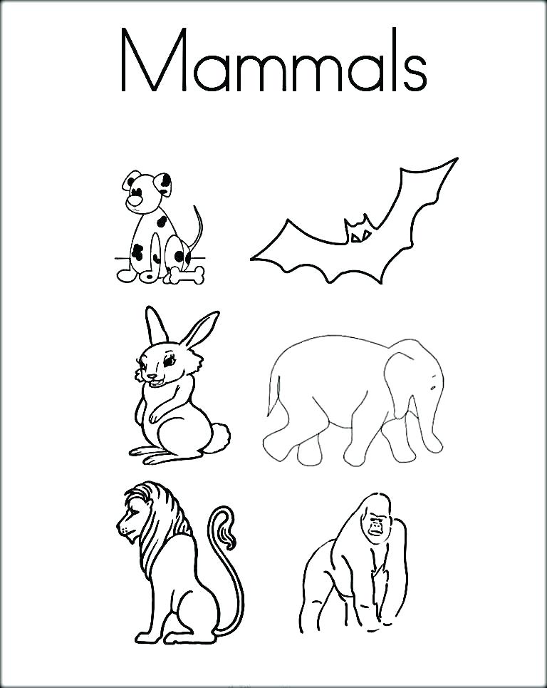 768x965 Mammal Coloring Pages Animals Coloring Pages Printable Coloring