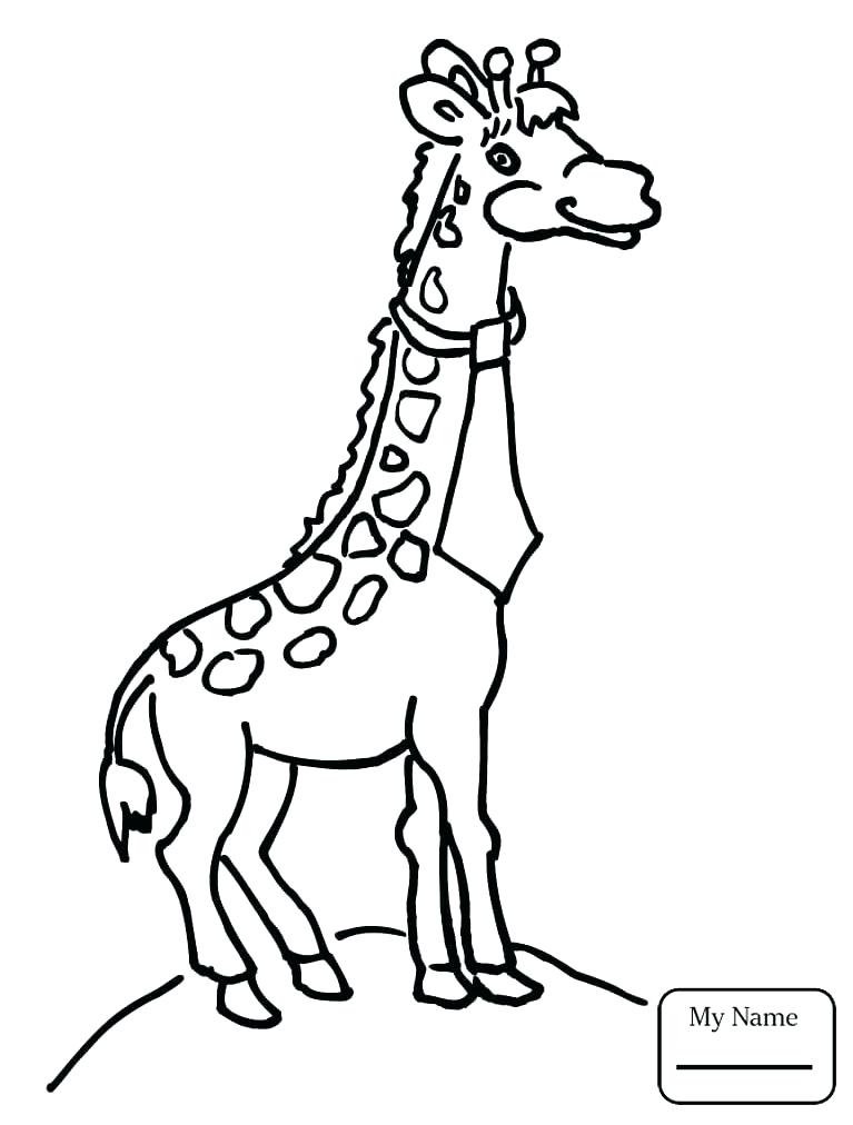 767x1012 Sea Animal Coloring Pages Coloring Pages Of Ocean Animals Kids