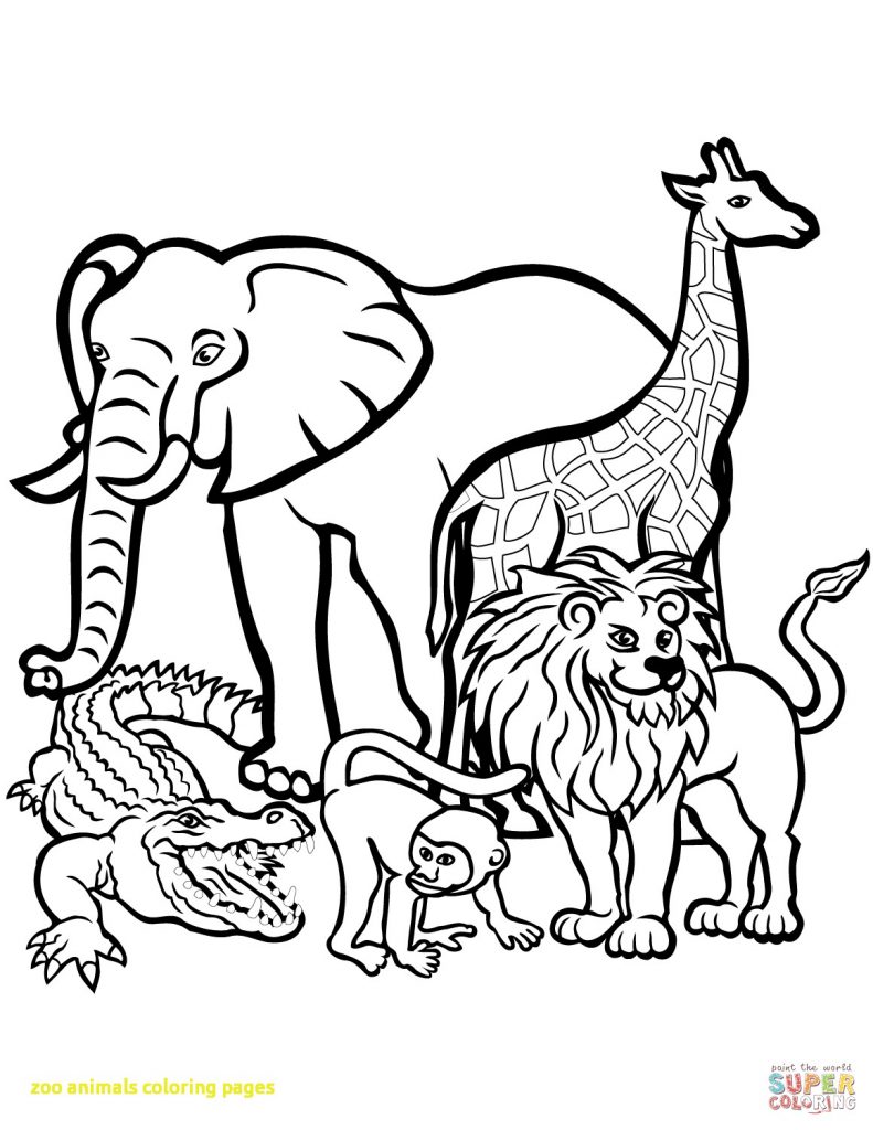 791x1024 Strange Mammal Coloring Pages Zoo Animal Sheets 9100 Deeptown Club
