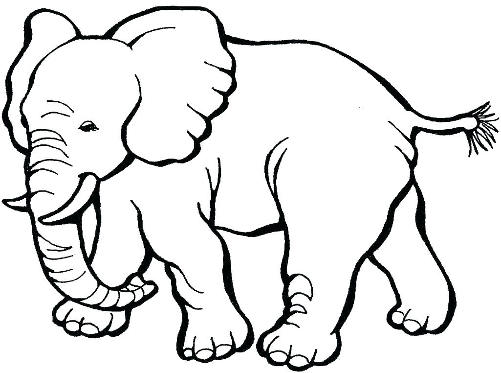 1025x762 Wildlife Coloring Pages Printable Animals Coloring Pages Animal