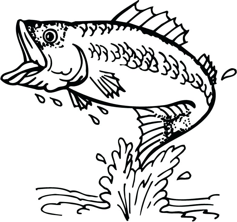 783x733 Fishing Coloring Pages And The Big Fish Coloring Page And The Big
