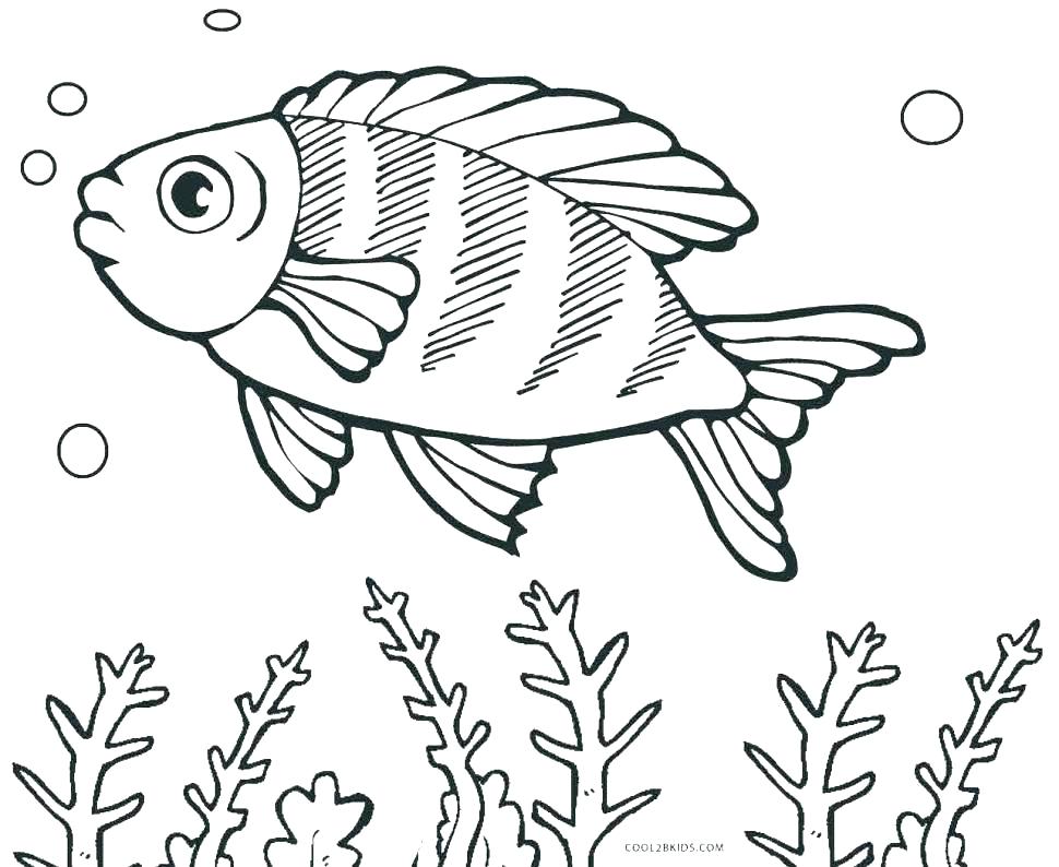 970x794 Fishing Coloring Pages Fish Color Pages Fish Color Pages Printable