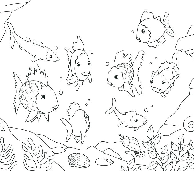 678x600 Fishing Coloring Pages Gold Fishing Page For Kids Goldfish Awesome