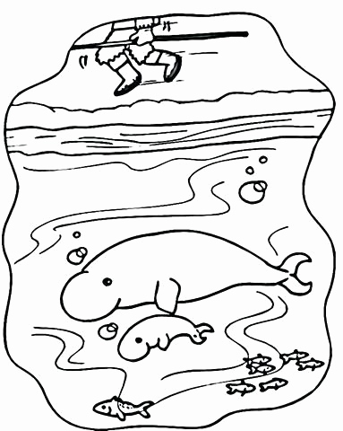 Manatee Coloring Page