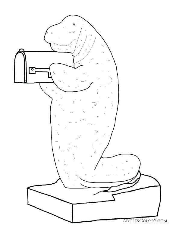 584x756 Manatee Coloring Page Manatee Coloring Page Idea Manatee Coloring