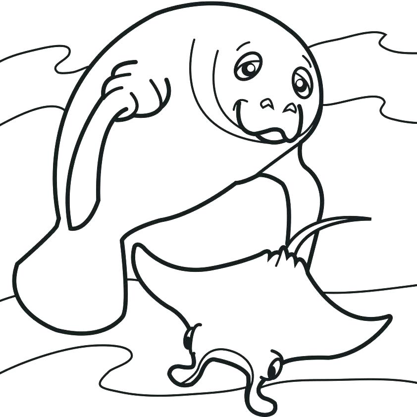 842x842 Manatee Coloring Page Manatee Coloring Page Manatee Coloring Page