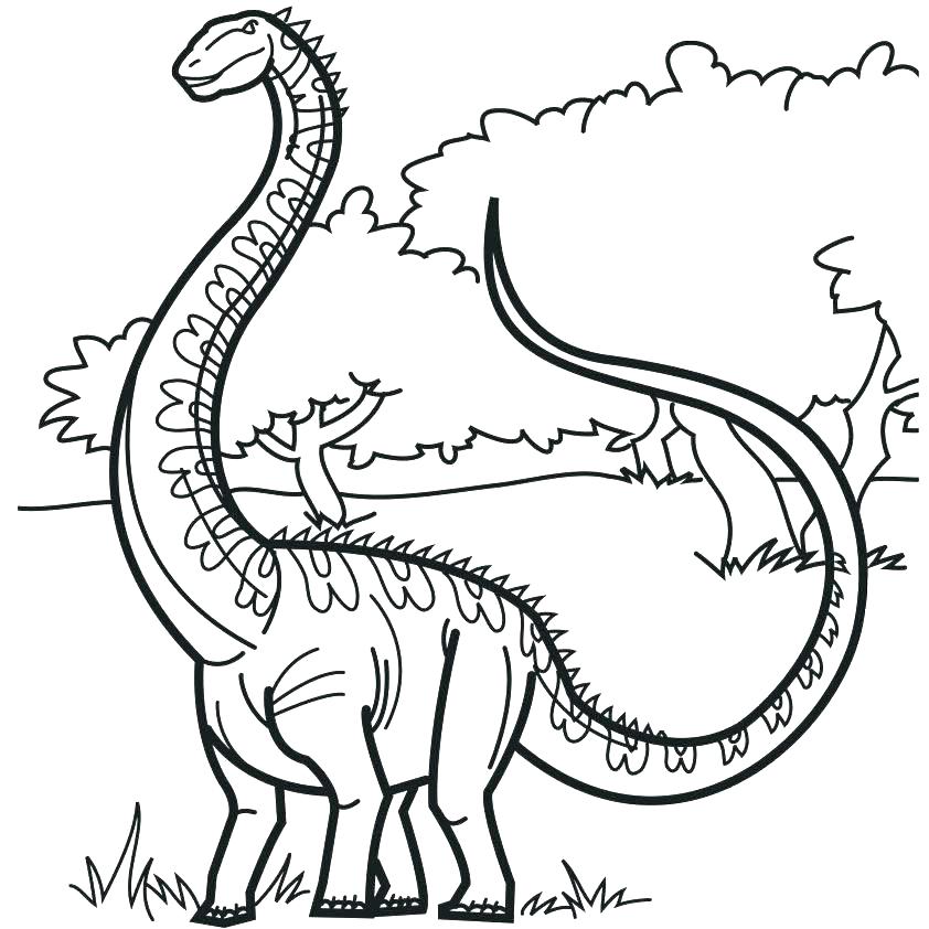 842x842 Manatee Coloring Page Manatee Coloring Page Manatee Coloring Pages
