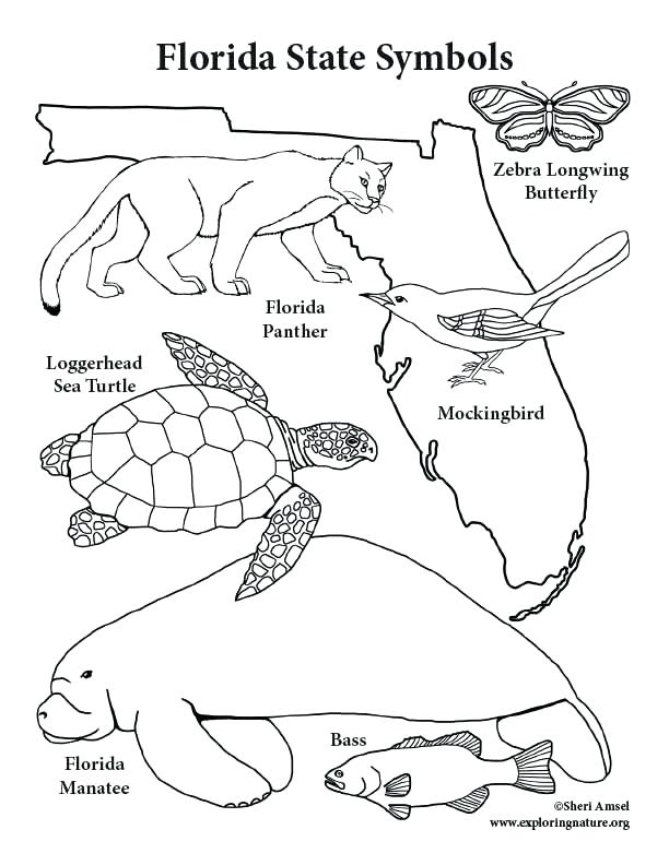 612x792 Manatee Coloring Pages Coloring Trend Thumbnail Size Realistic