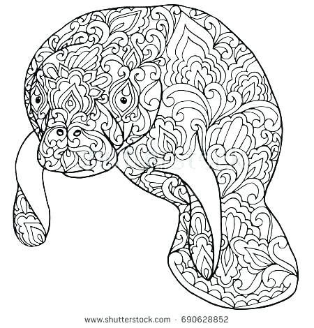 450x470 Manatee Coloring Pages Manatee Coloring Page Best Of Manatee