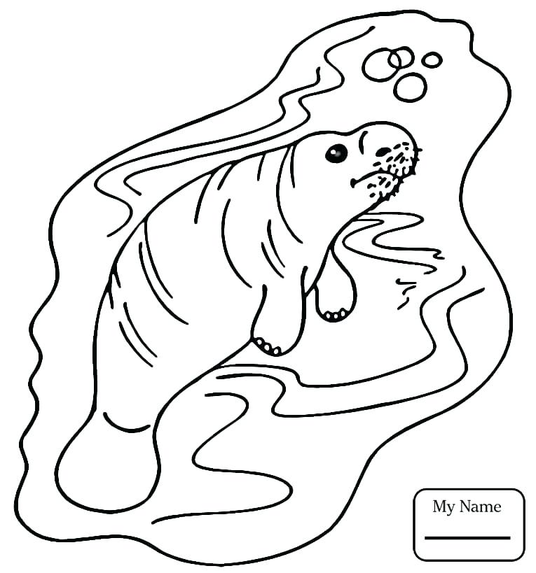 765x819 Manatee Coloring Pages Coloring Pages Manatee Mammals Manatee