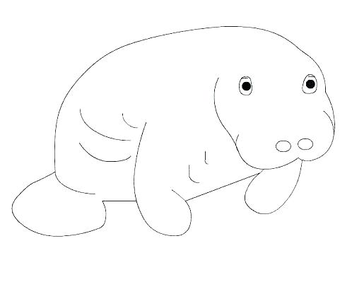 498x426 Manatee Coloring Pages Idea Manatee Coloring Page Or Coloring
