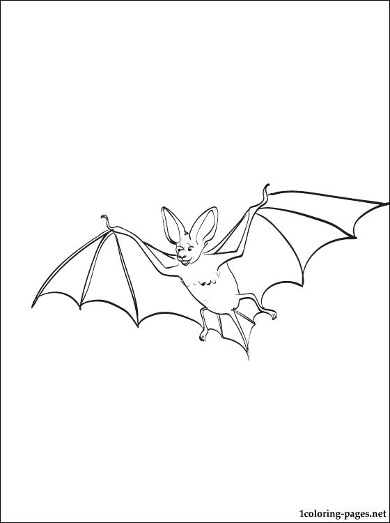 560x750 Bat Printable Bat Cut Out Printable Bat Pictures Print Bat