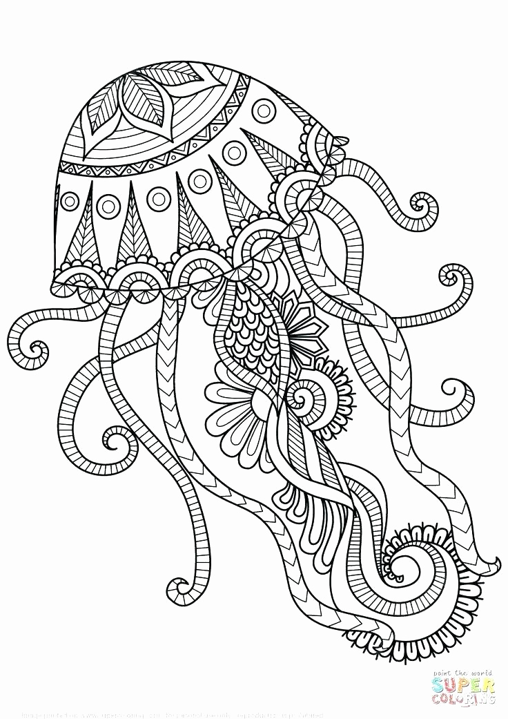 736x1041 Mandala Coloring Pages Line Mandala Coloring Pages Line Also