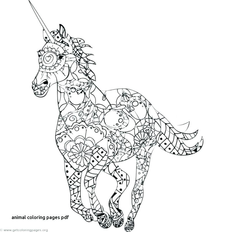 805x805 Mandala Coloring Pages Pdf Luxury Mandala Coloring Pages