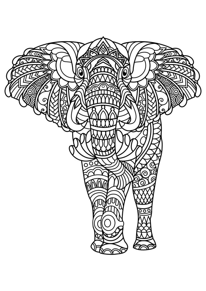 805x1138 Best Of Animal Mandala Coloring Pages Collection Printable