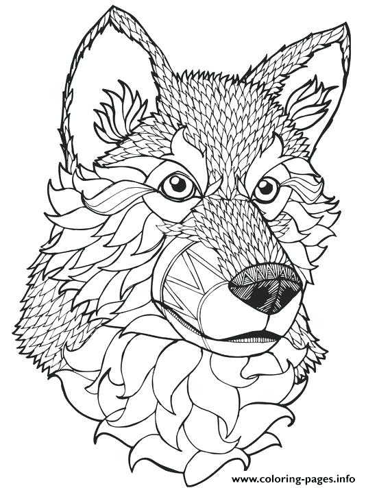 534x712 Mandala Adult Coloring Books Mandala Coloring Page Printables
