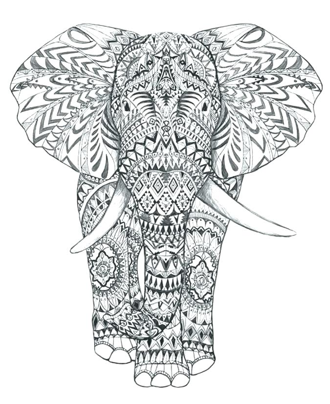 675x825 Coloring Pages Of Elephants Coloring Pages Elephants Coloring Page