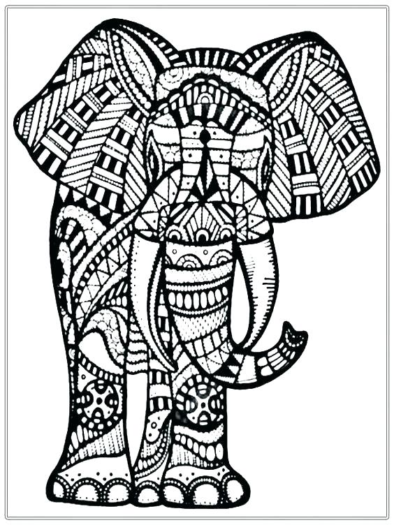 564x752 Elephant Coloring Pages Elephant Coloring Book And Coloring Pages