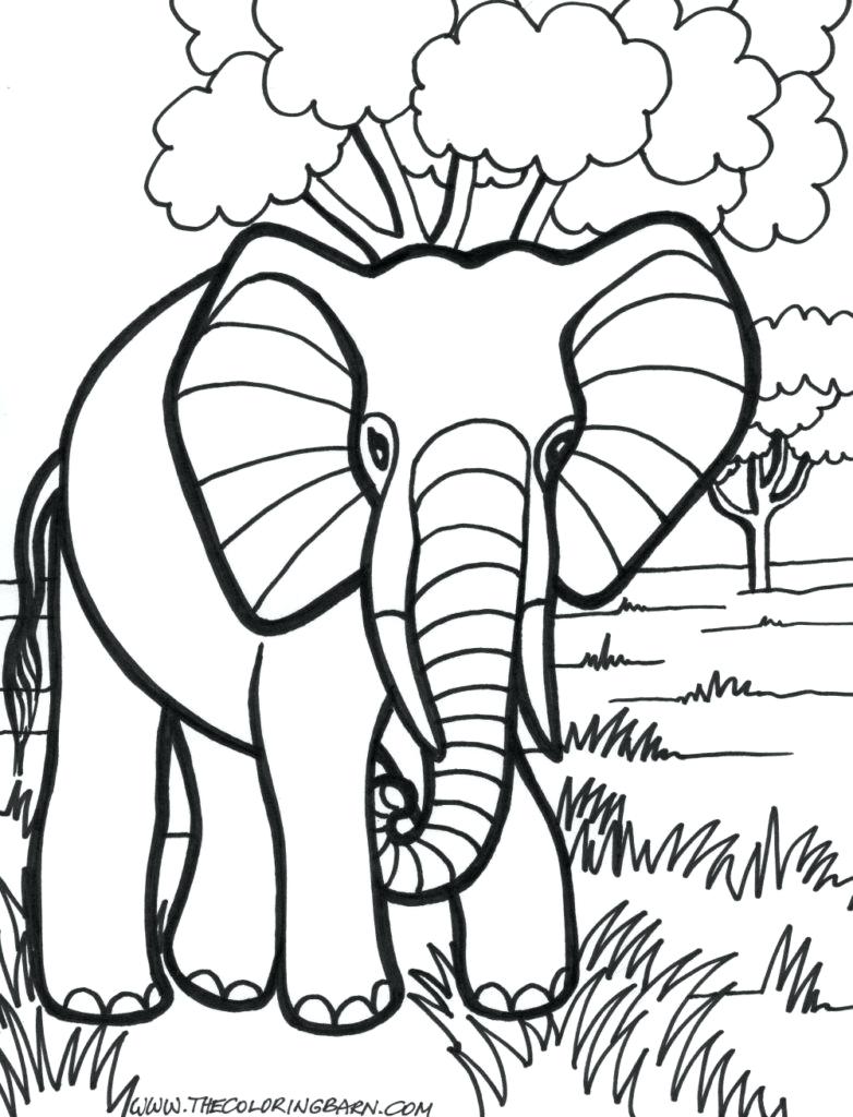 782x1024 Coloring Pages ~ Elephant Coloring Page Adult Printable Pages