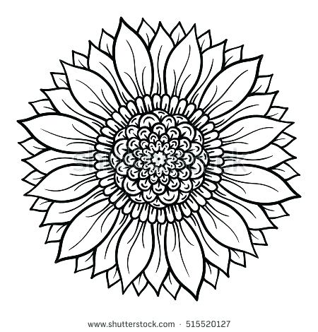 450x470 Flower Mandala Coloring Pages Mandala Coloring Pages Vector