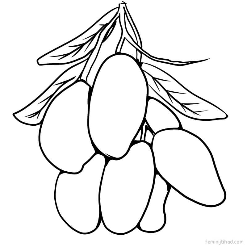800x800 Mango Coloring Pages Coloring Pages For Kids