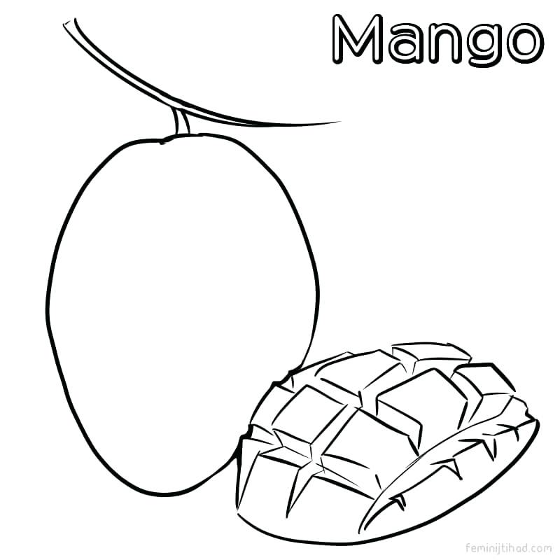 800x800 Mango Coloring Pages Mango Coloring Pictures Mango Image Coloring