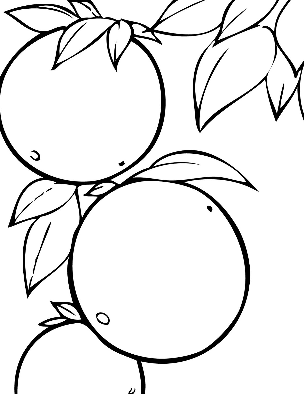 1236x1600 Mango Fruits Coloring Pages For Kids Luxury Mango Fruits Kids