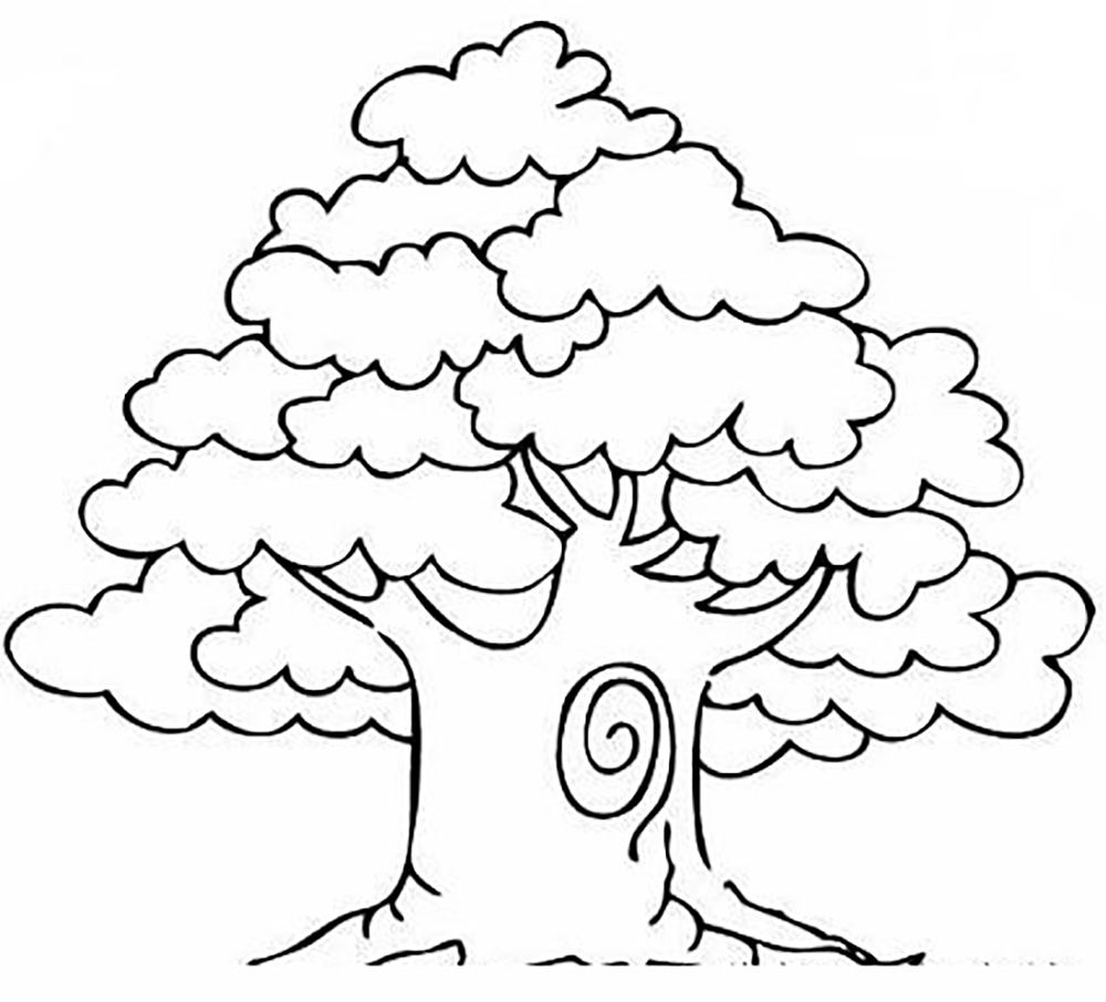 1000x906 Mango Tree Trees Coloring Pages Kids Net And Learning