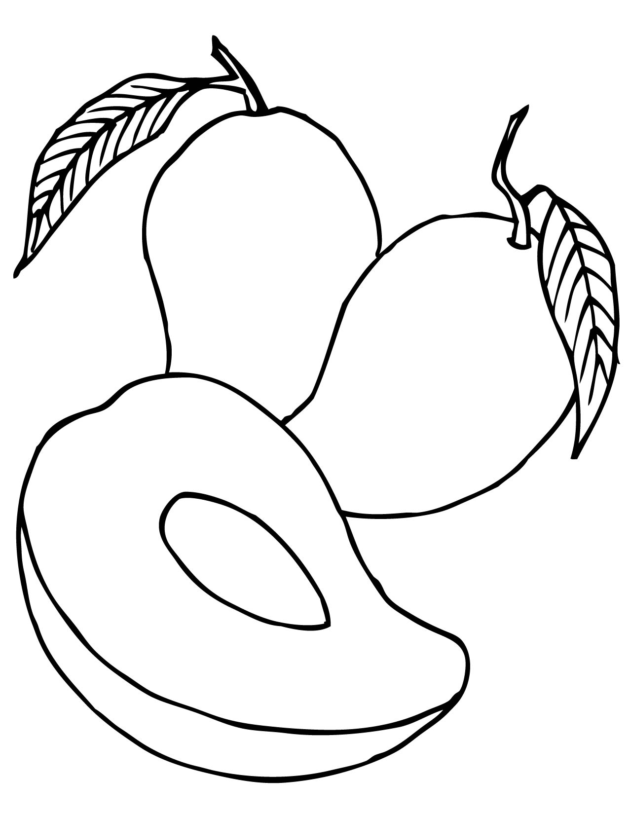 1275x1650 Mango Coloring Page