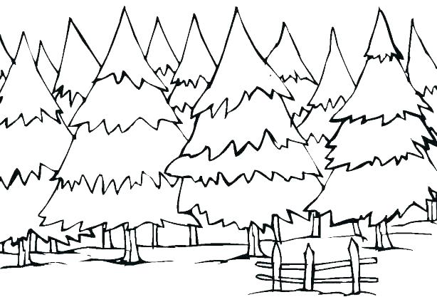614x424 Coloring Pages Tree Coloring Pages Of Mango Trees Apple Tree Color