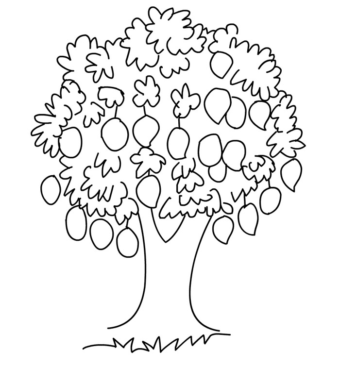 700x756 Colorings Mango Tree Coloring