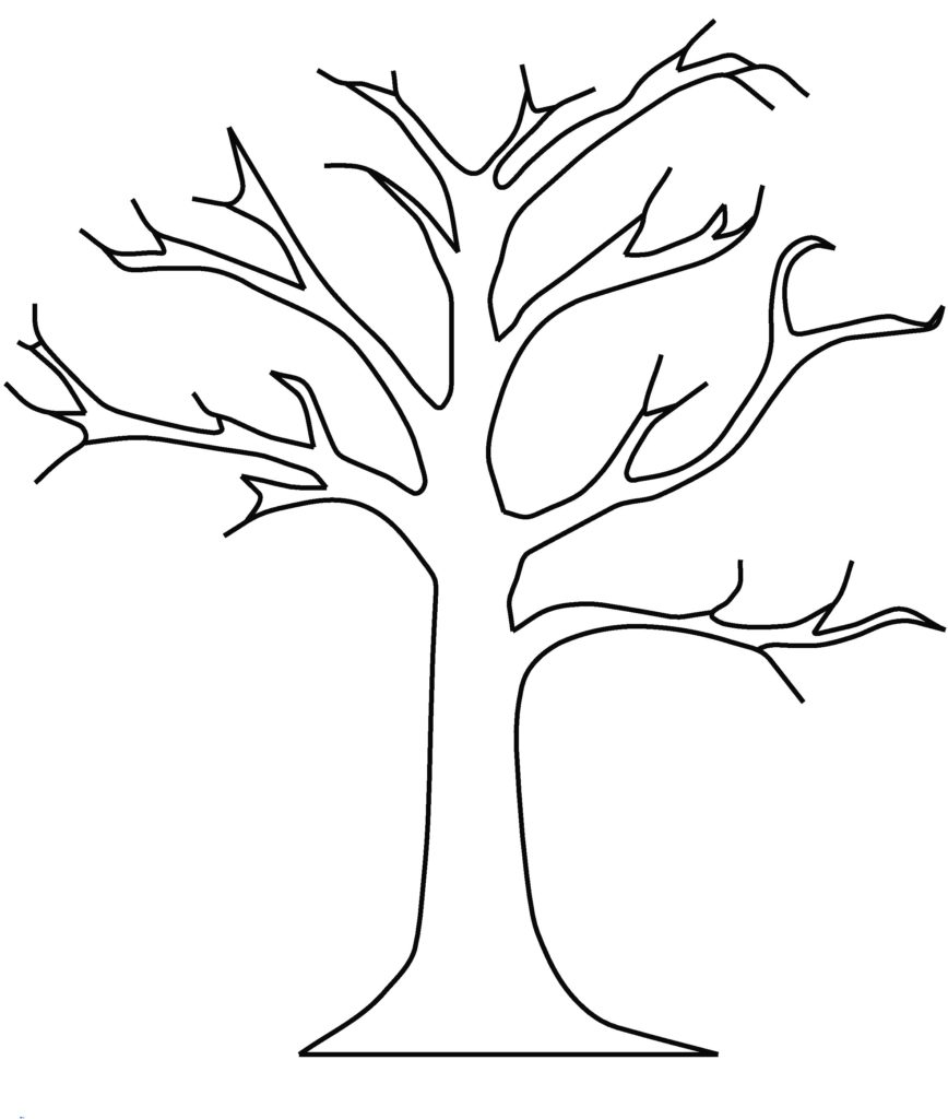 868x1024 Tree Without Leaves Coloring Page Pages Of Mango Trees New Get
