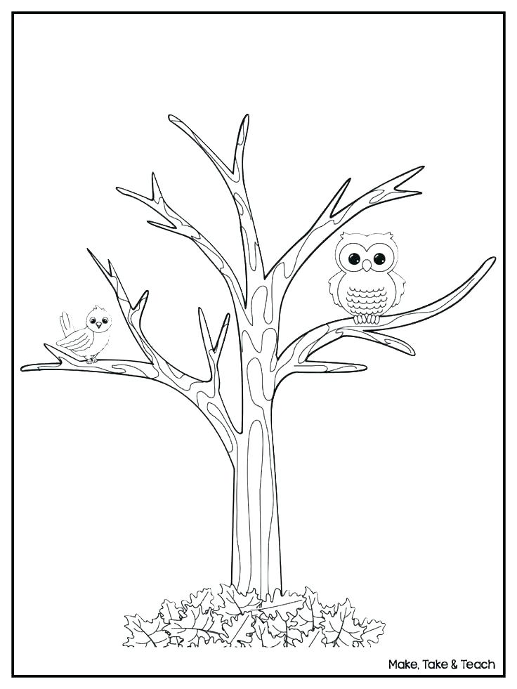 736x981 Best Trees Coloring Pages Images On Kids Net Mango Tree Coloring