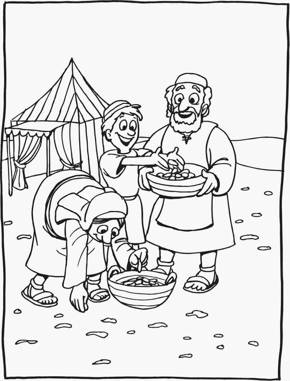 962x1264 Manna And Quail Coloring Page Web Coloring Pages