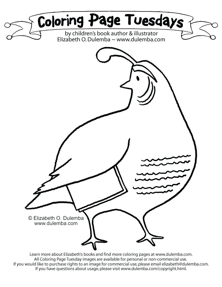 773x1000 Quail Coloring Page Northern Bobwhite With Forest Coloring Page