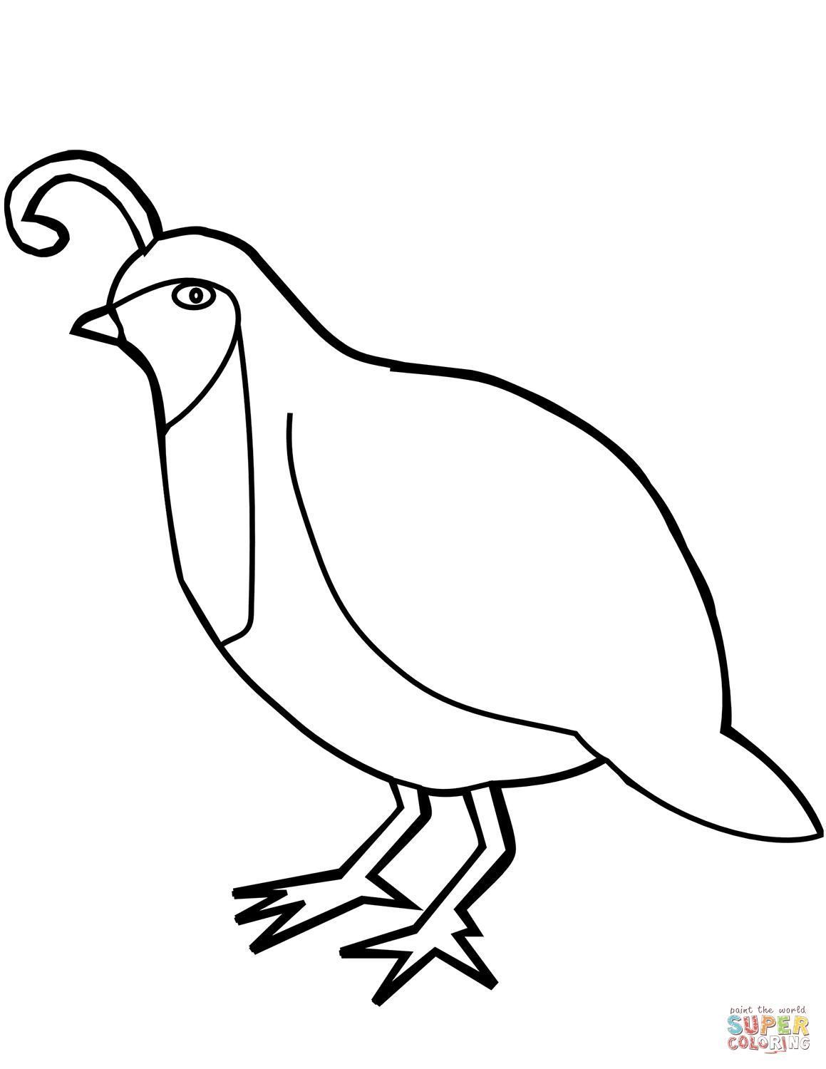 1159x1500 Coloring Pages Quail Coloring Page Fun