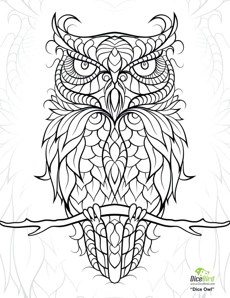 736x952 Manta Ray Coloring Page How To Draw A Realistic Fish Bass Fish