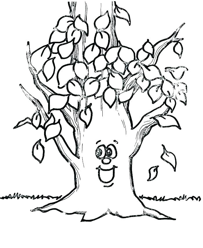 700x855 Coloring Page Of A Tree Bare Tree Coloring Page Tree Coloring