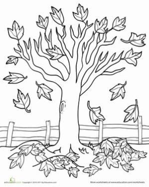 299x376 Fall Kindergarten Nature Worksheets Maple Tree Coloring Page